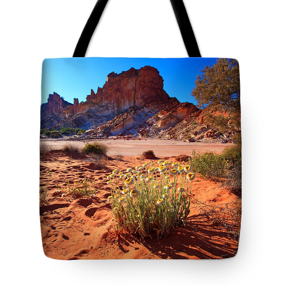 Rainbow Valley Sunrise Outback Landscape Central Australia Water Hole Northern Territory Australian Clay Pan Tote Bag featuring the photograph Rainbow Valley #3 by Bill Robinson