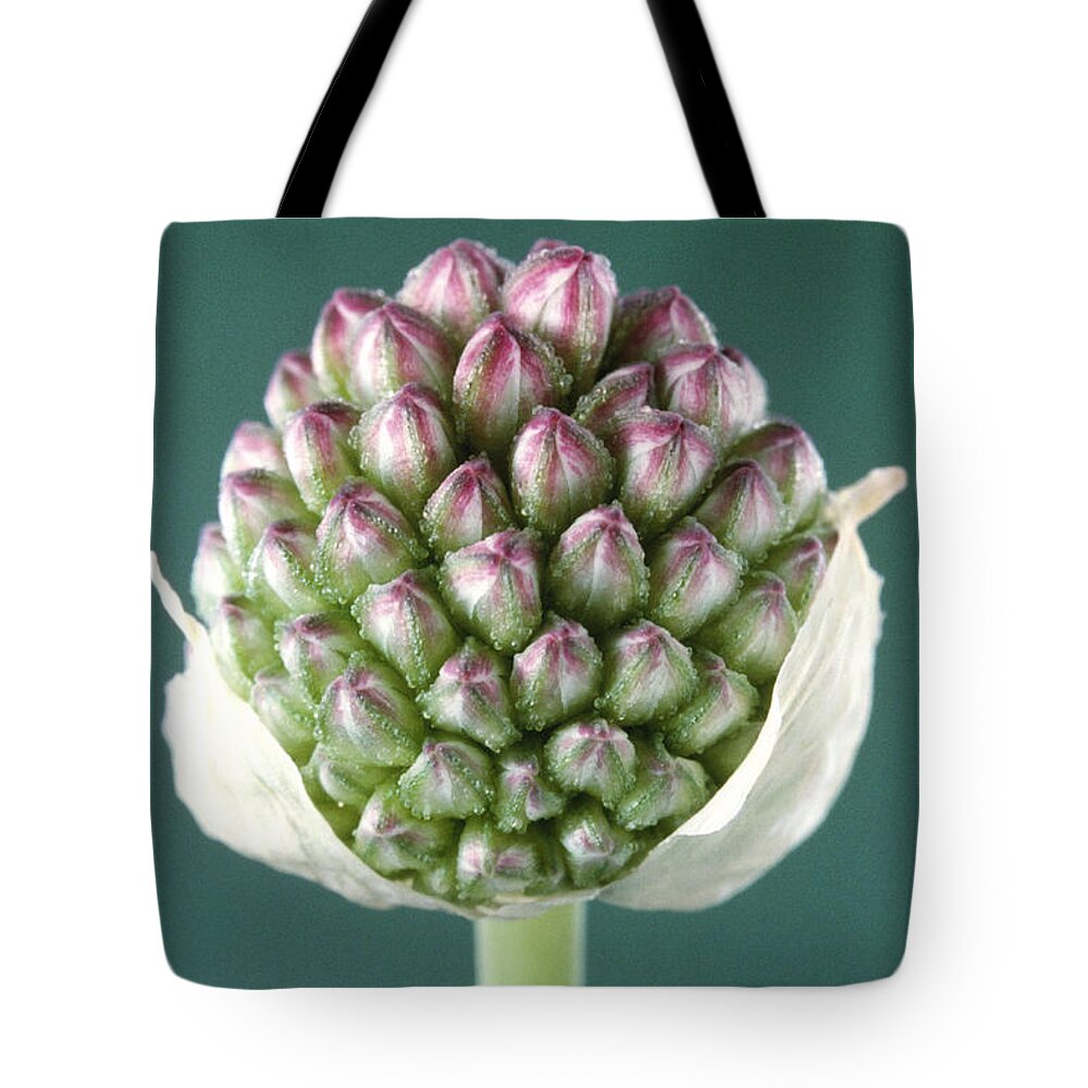 Allium Tote Bag featuring the photograph Round-headed Leek #3 by Perennou Nuridsany