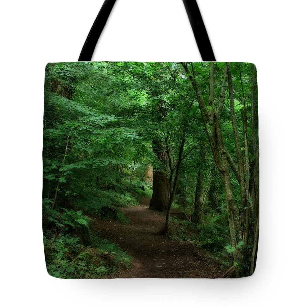 Garden Tote Bag featuring the photograph Scary Country Forest by Doc Braham