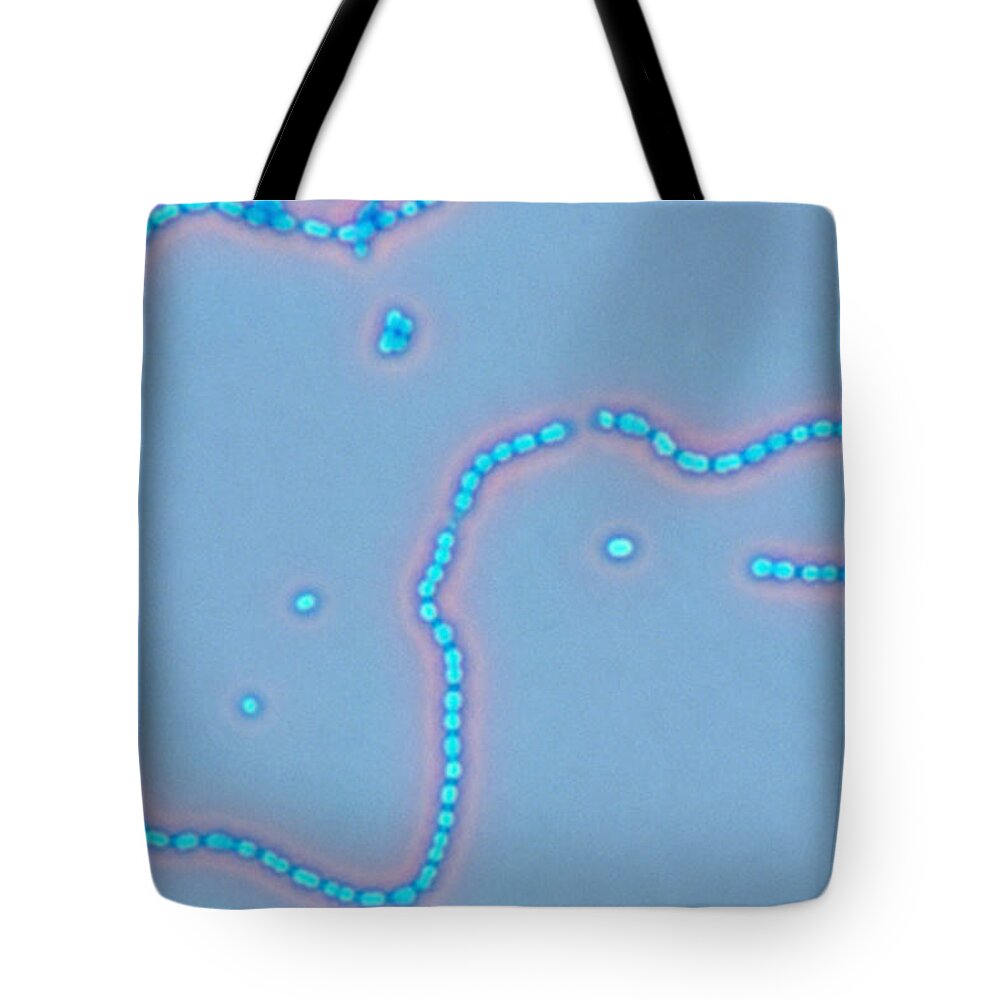Bacteria Tote Bag featuring the photograph Streptococcus Pyogenes #3 by Michael Abbey