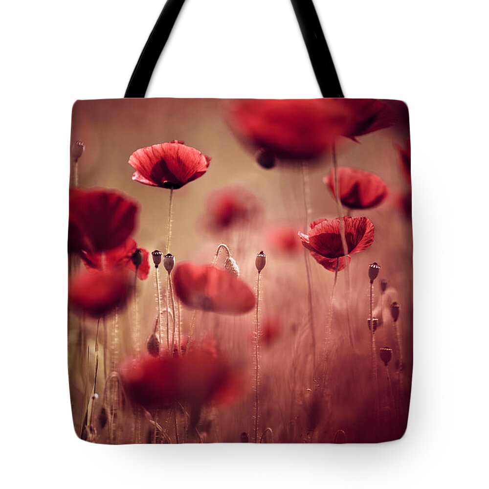 Poppy Tote Bag featuring the photograph Summer Poppy by Nailia Schwarz