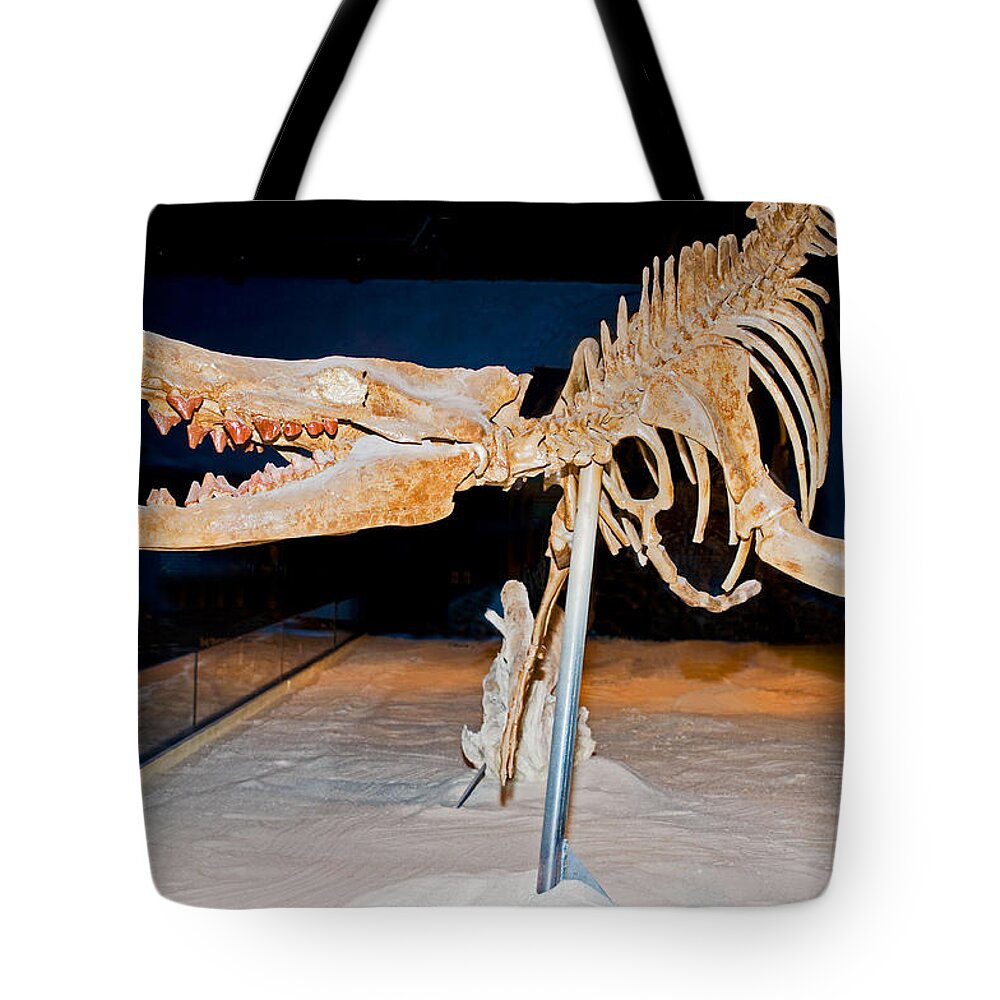 Nature Tote Bag featuring the photograph Vogtle Whale Skeleton by Millard H. Sharp