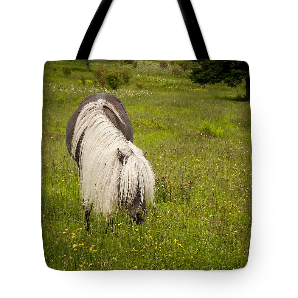 Appalachian Trail Tote Bag featuring the photograph Wild Horses by Joye Ardyn Durham