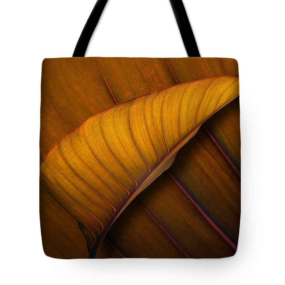 Leaves Tote Bag featuring the photograph 3339 by Peter Holme III