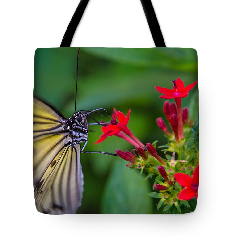 Butterfly Tote Bag featuring the photograph Butterfly #7 by Rene Triay FineArt Photos