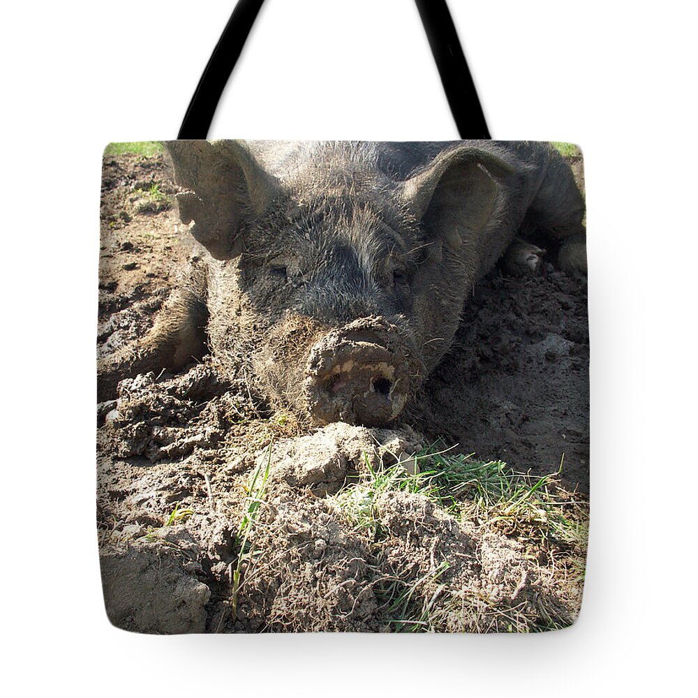 Agricultural Tote Bag featuring the photograph Berkshire Pig #4 by Bonnie Sue Rauch