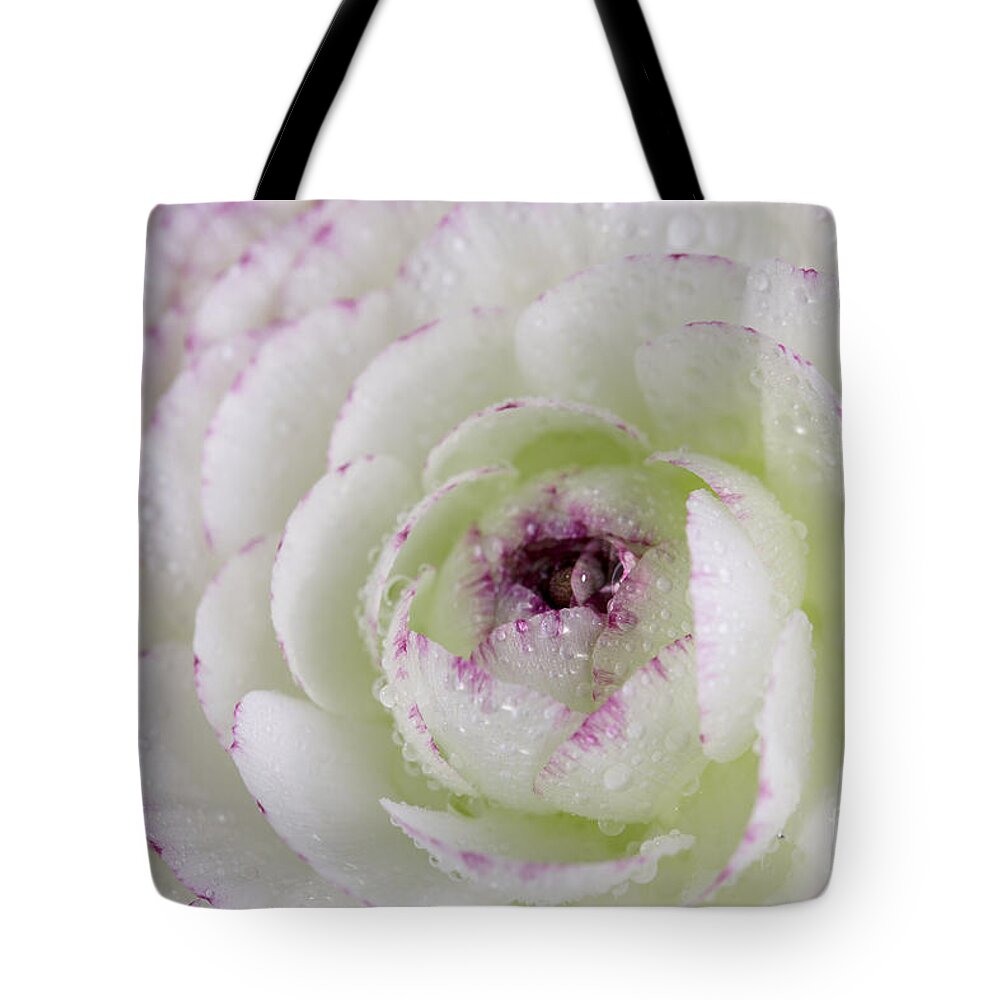 Buttercup Tote Bag featuring the photograph Buttercup flower with Dew by Nailia Schwarz