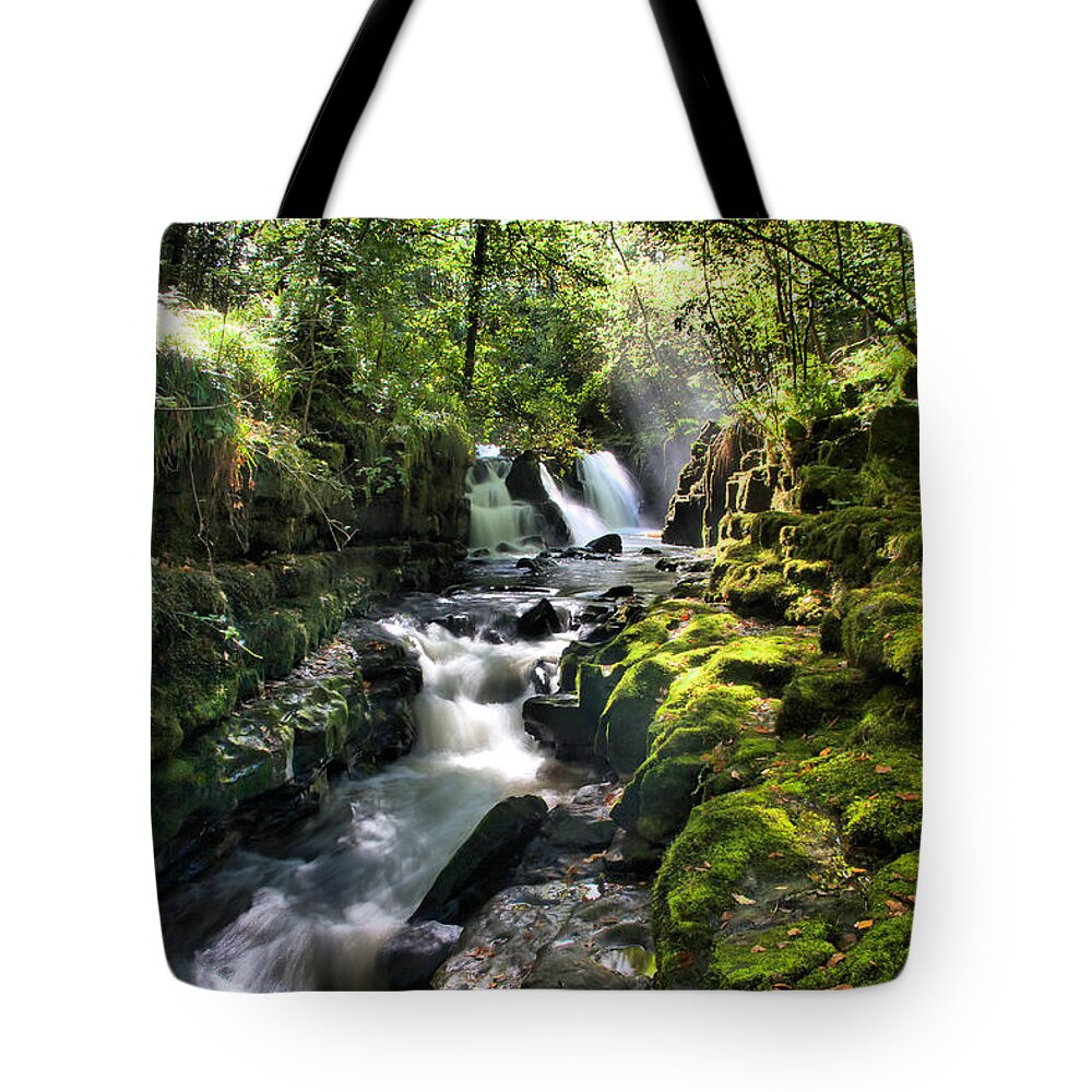 Autumn Tote Bag featuring the photograph Clare Glens #5 by Mark Callanan