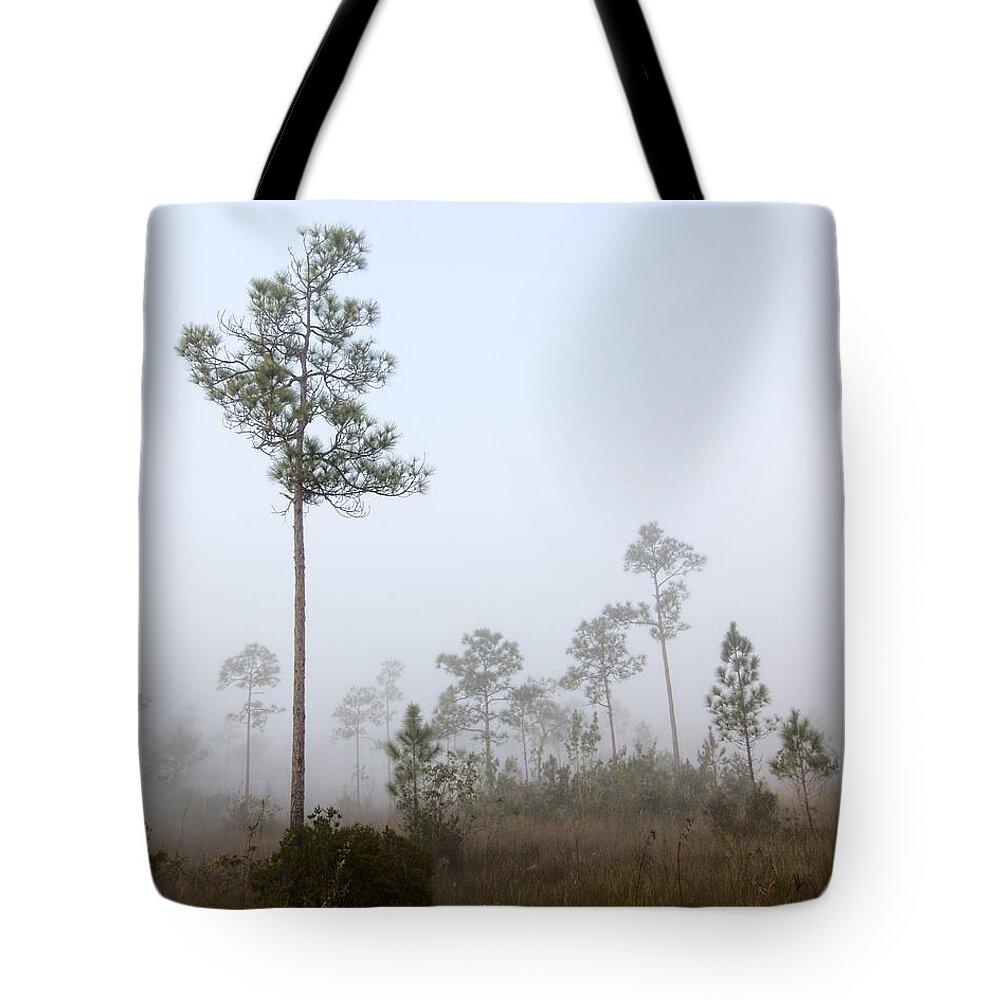 Everglades Tote Bag featuring the photograph Early morning fog Landscape-5 by Rudy Umans