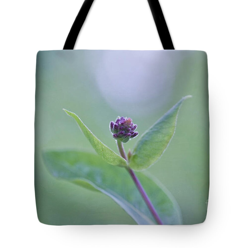 Lonicera Tote Bag featuring the photograph Embracing the light by Maria Ismanah Schulze-Vorberg