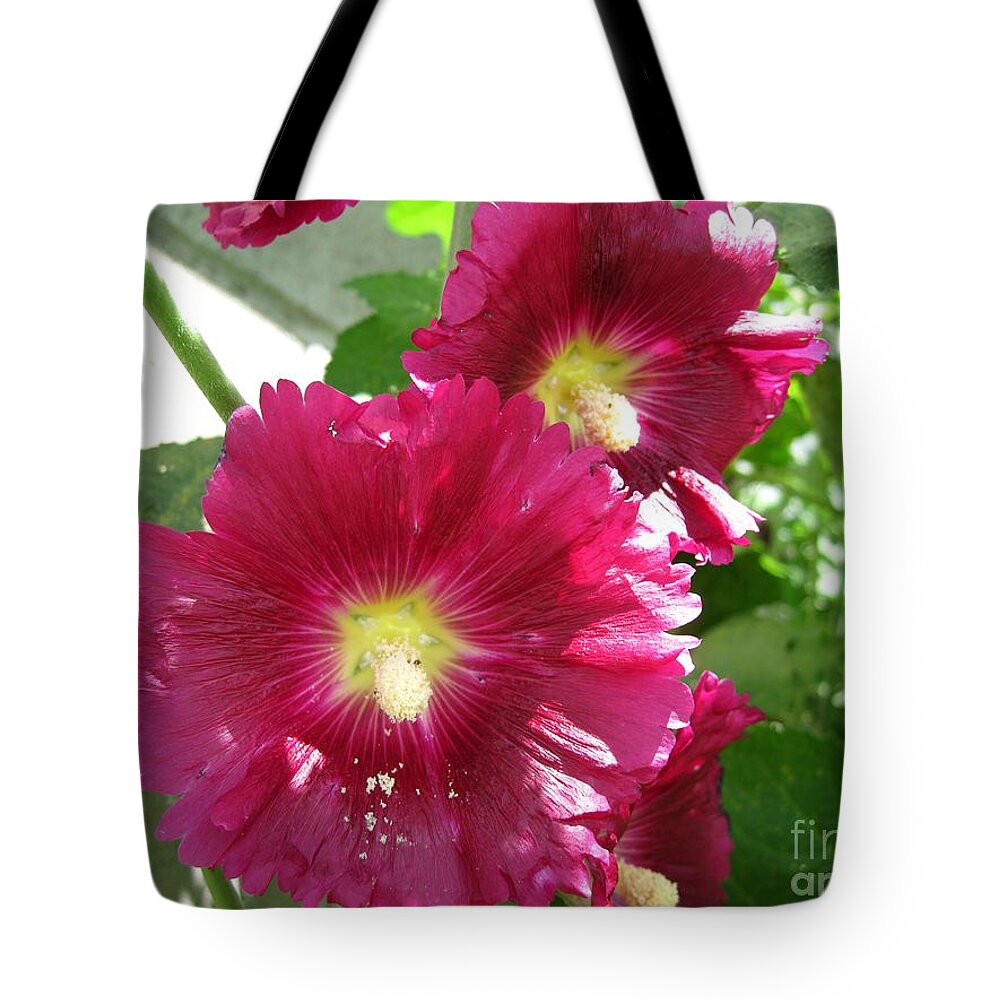 Mccombie Tote Bag featuring the photograph Giant Single Carmine Hollyhock #4 by J McCombie