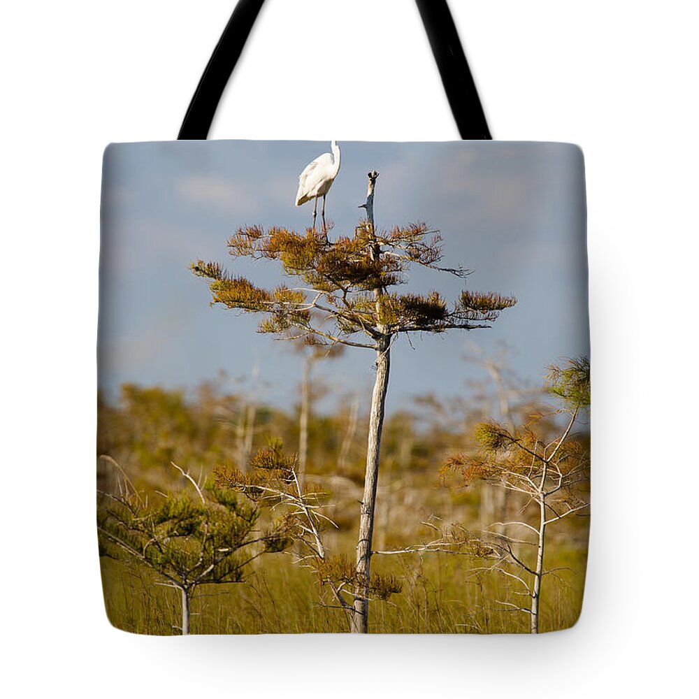 Egret Tote Bag featuring the photograph Great White Egret #4 by Raul Rodriguez