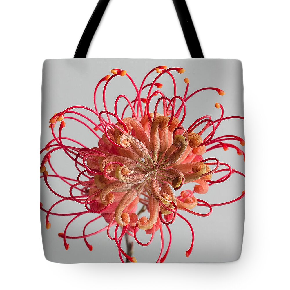 Grevillea Tote Bag featuring the photograph Grevillea flower by Shirley Mitchell
