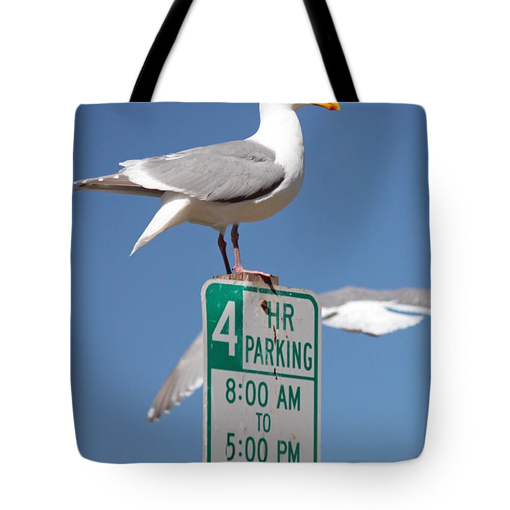 Birds Tote Bag featuring the photograph 4 Hour Parking by E Faithe Lester