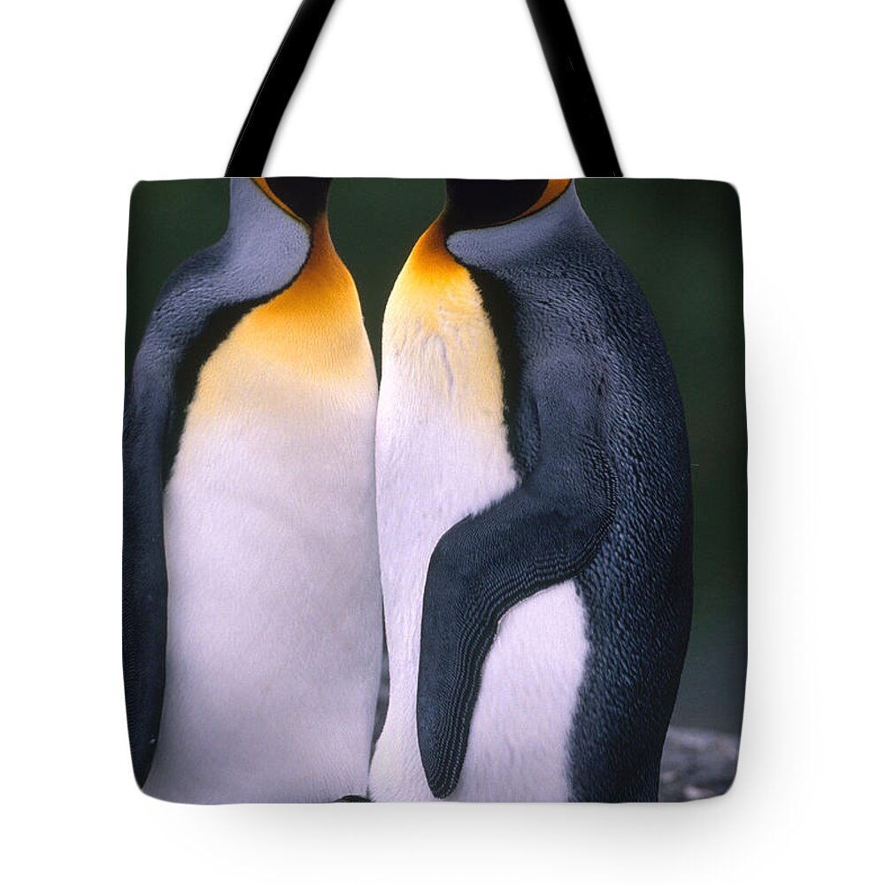 King Penguin Tote Bag featuring the photograph King Penguins #4 by Art Wolfe