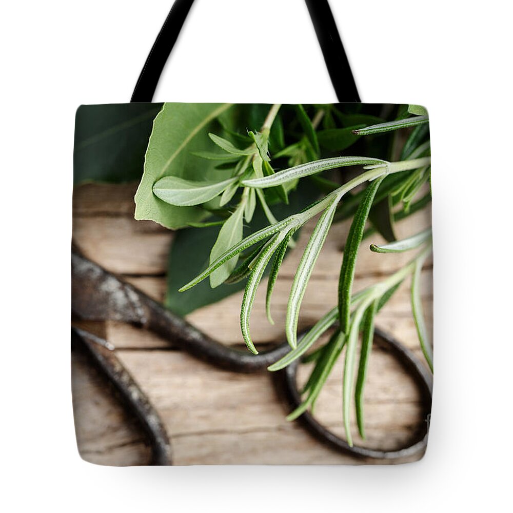 Lorel Tote Bag featuring the photograph Kitchen Herbs by Nailia Schwarz