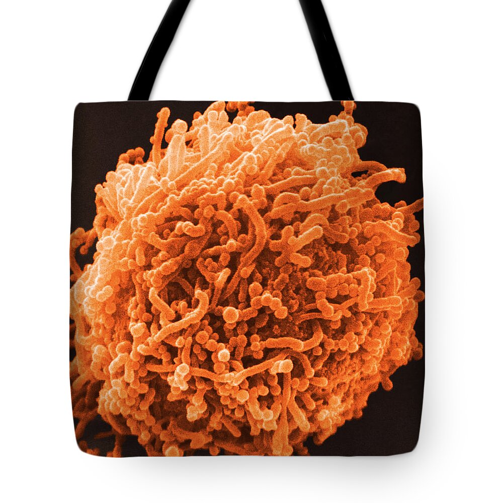 Bacterial Tote Bag featuring the photograph SEM of Mycoplasma Bacteria by David M Phillips