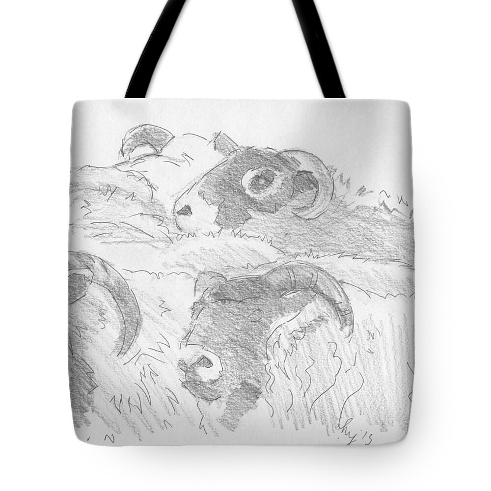Sheep Tote Bag featuring the drawing Sheep #4 by Mike Jory