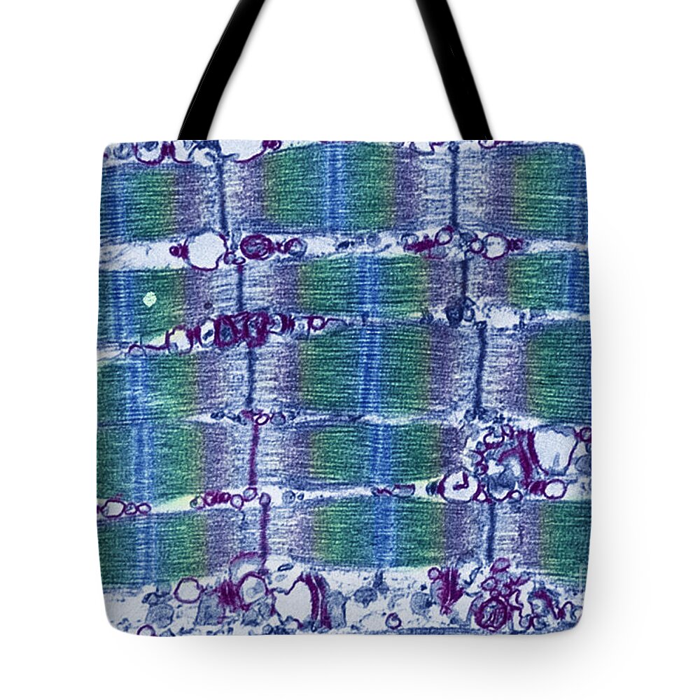 Striated Muscle Tote Bags