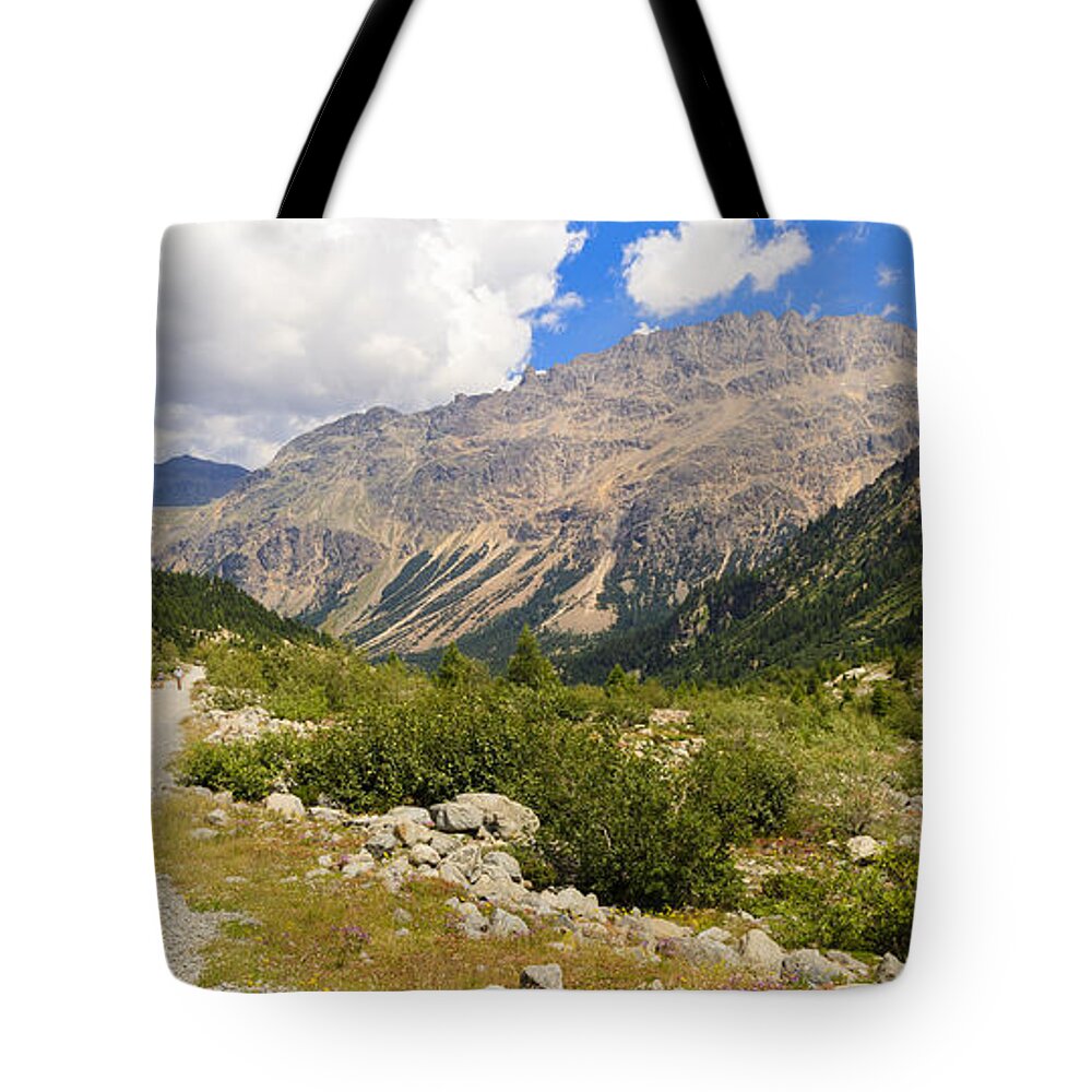 Bernina Tote Bag featuring the photograph Swiss Mountains #4 by Raul Rodriguez