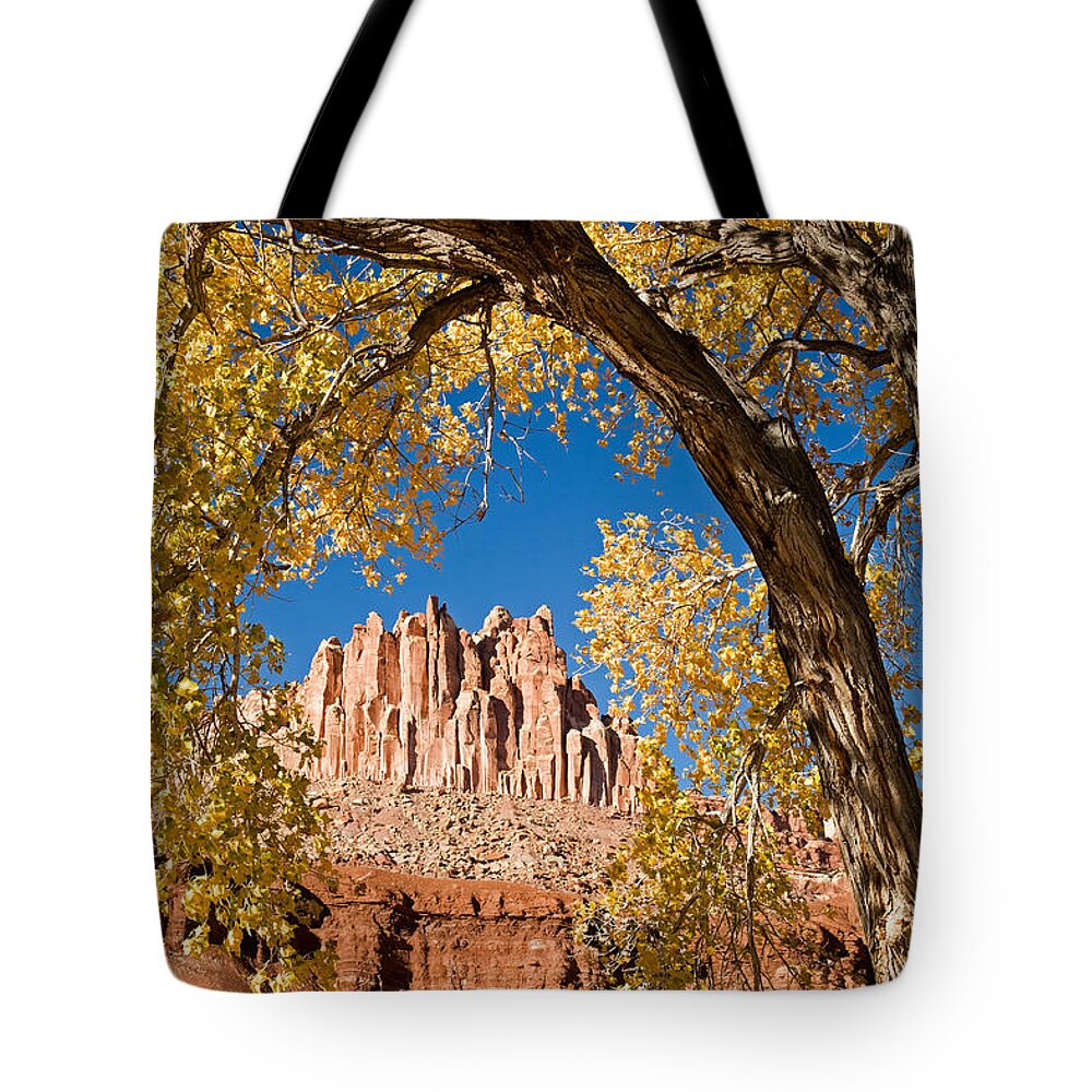 Afternoon Tote Bag featuring the photograph The Castle Capitol Reef National Park #4 by Fred Stearns
