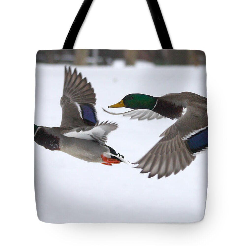The Great Race Tote Bag featuring the photograph The Great Race by John Telfer