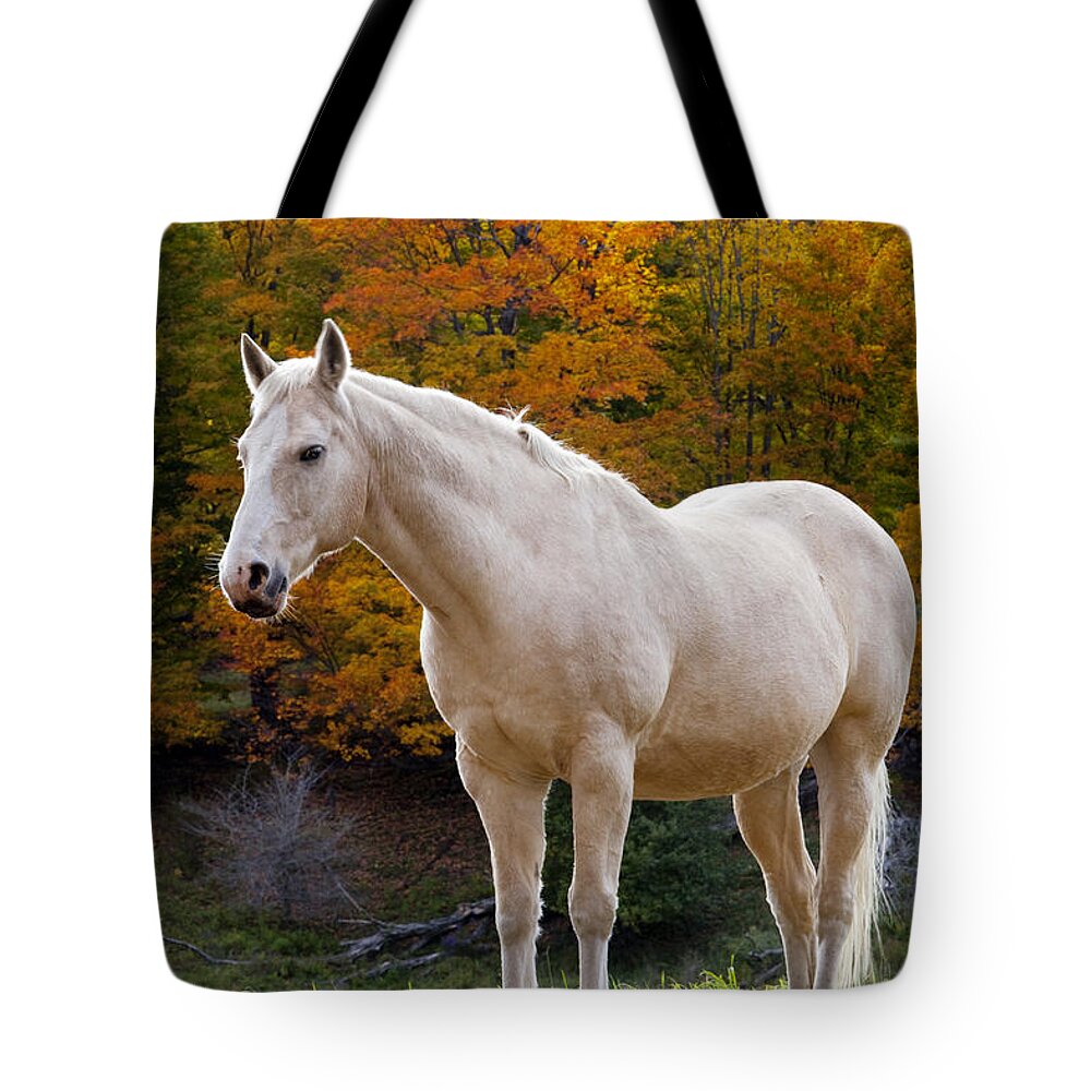 White Horse Tote Bag featuring the photograph White Horse in Autumn #2 by Brian Jannsen