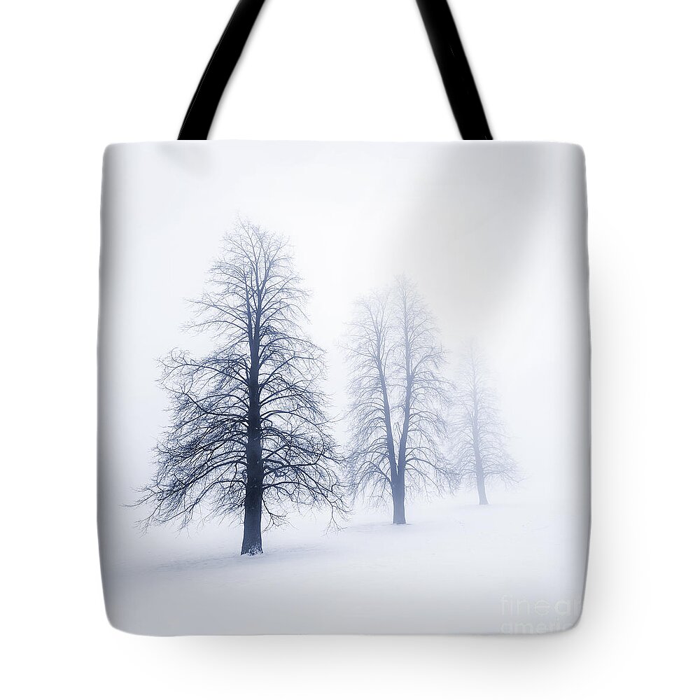 Trees Tote Bag featuring the photograph Winter trees in fog 6 by Elena Elisseeva