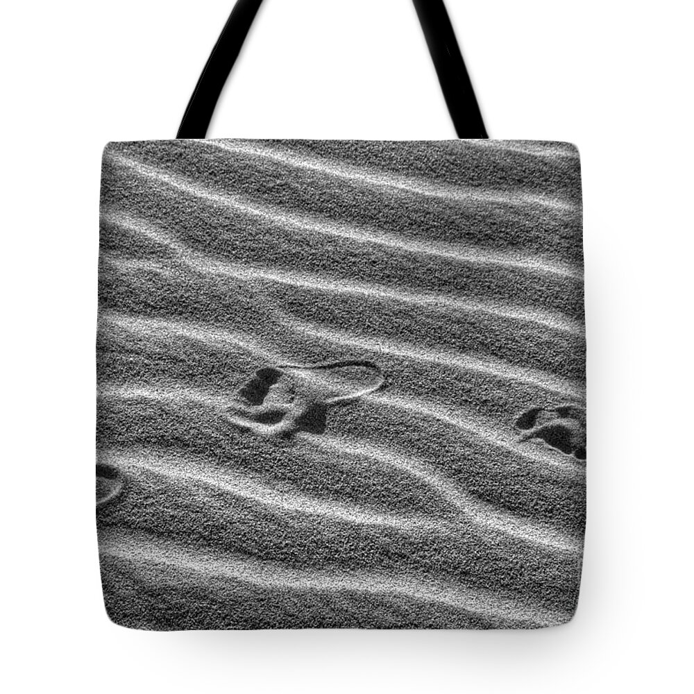 Death Valley Tote Bag featuring the photograph Death Valley #48 by Marc Bittan