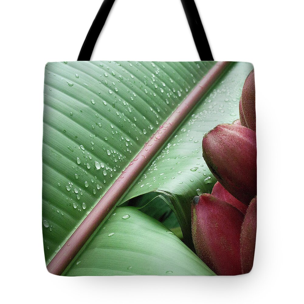 Banana Tote Bag featuring the photograph Banana Leaf by Heiko Koehrer-Wagner