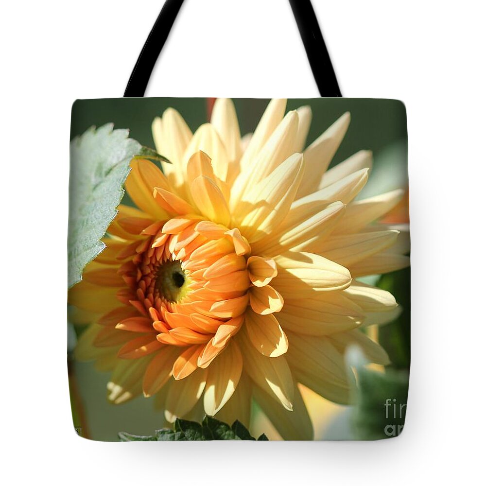 Mccombie Tote Bag featuring the photograph Dahlia named Embrace #5 by J McCombie