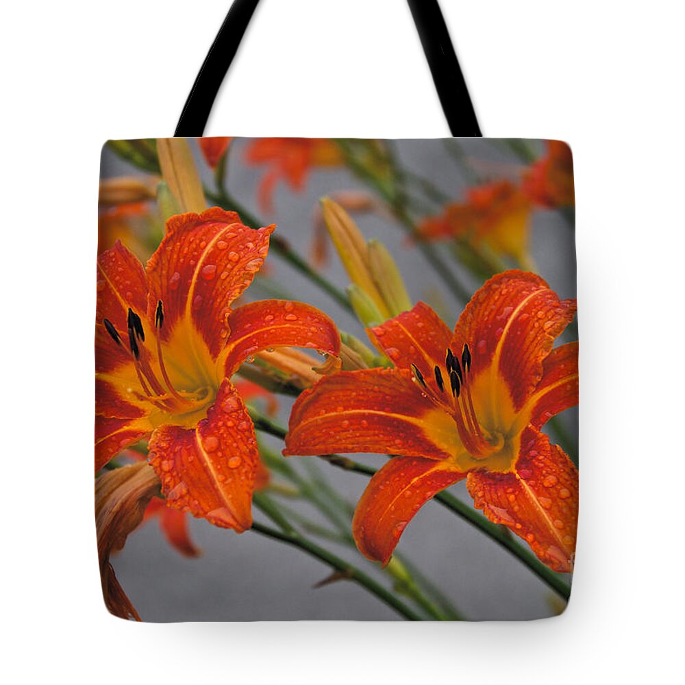 Day Lilly Tote Bag featuring the photograph Day Lilly by William Norton