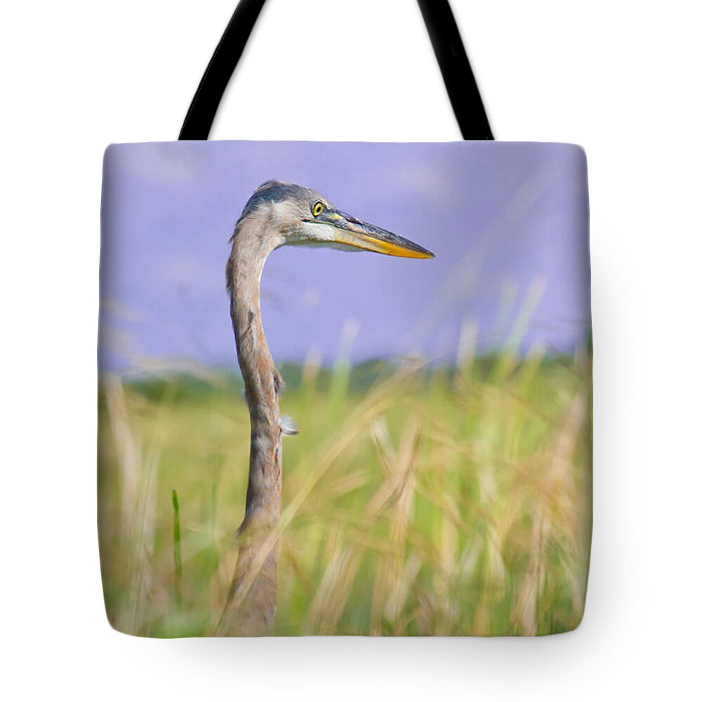 Great Blue Heron Tote Bag featuring the photograph Great Blue Heron on the Prairie by Mark Andrew Thomas