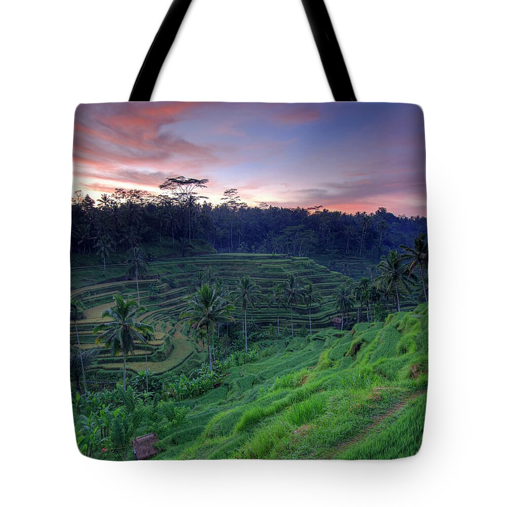 Scenics Tote Bag featuring the photograph Indonesia, Bali, Rice Fields And #5 by Michele Falzone