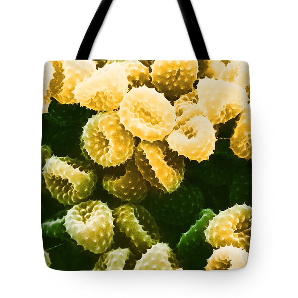 Allergen Tote Bag featuring the photograph Ragweed Pollen Sem #5 by David M. Phillips / The Population Council