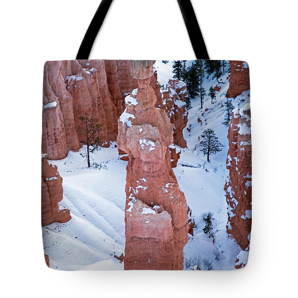 Bryce Canyon Tote Bag featuring the photograph Sunset Point Bryce Canyon National Park #9 by Fred Stearns