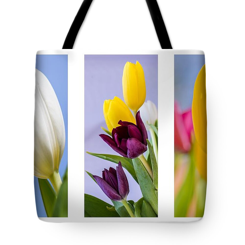 Nature Tote Bag featuring the photograph Tulips #5 by Paulo Goncalves