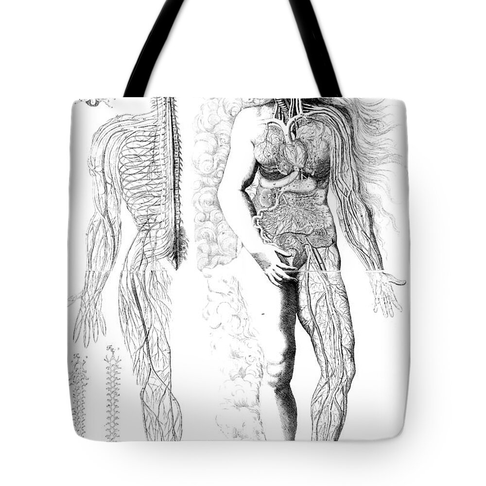 Science Tote Bag featuring the photograph Am Bourdon, Nouvelles Tables #6 by Science Source