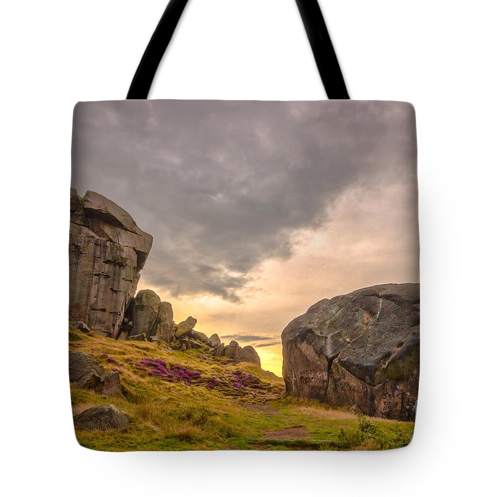 Airedale Tote Bag featuring the photograph Cow and Calf Rocks #6 by Mariusz Talarek
