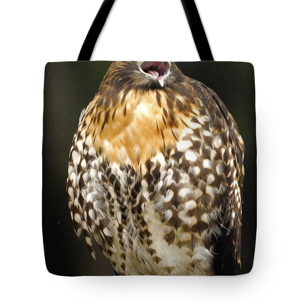 Hawk Tote Bag featuring the photograph Hawk #6 by Marc Bittan