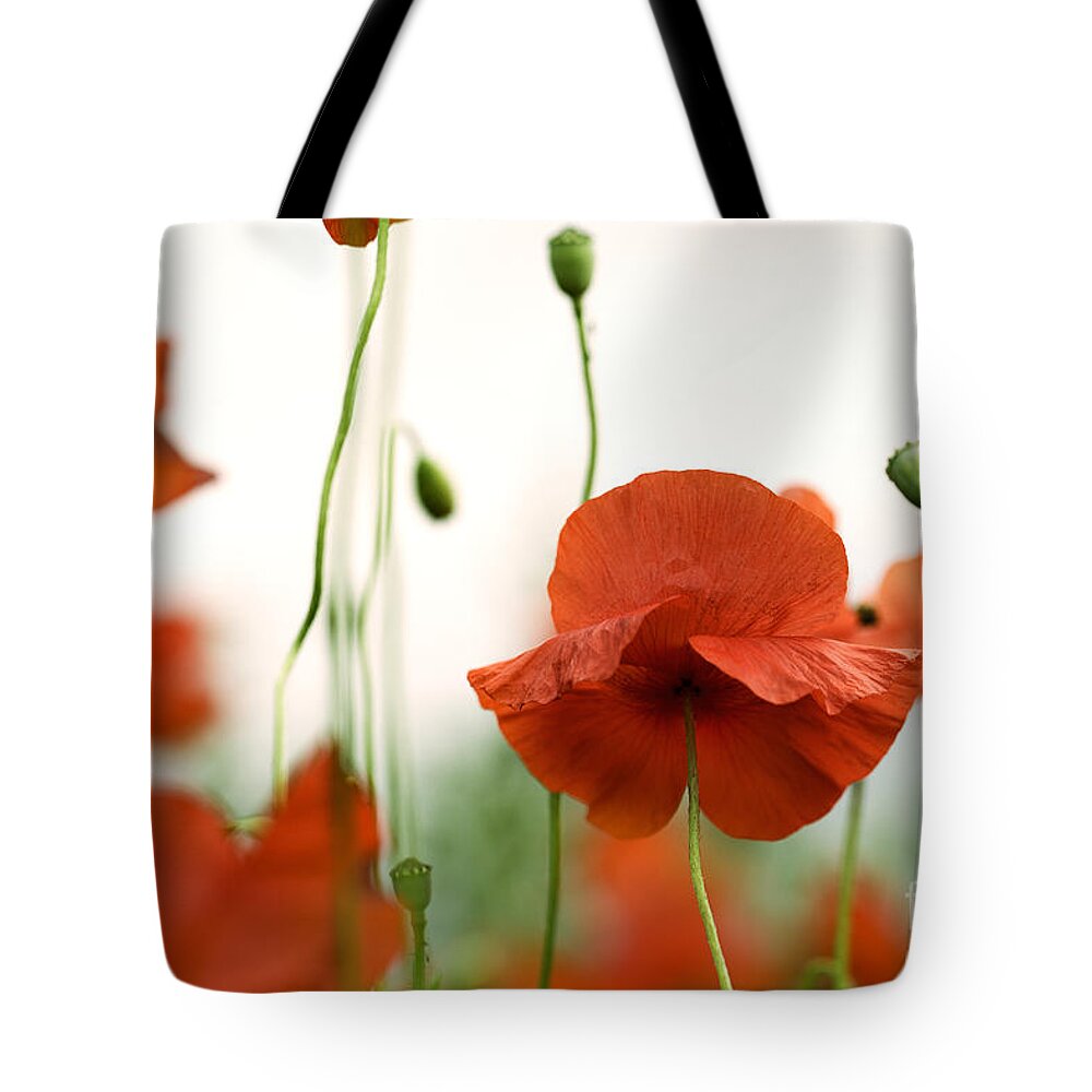 Poppy Tote Bag featuring the photograph Red Poppy Flowers by Nailia Schwarz