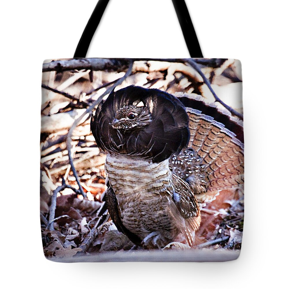 Bedford Tote Bag featuring the photograph Ruffed Grouse by Ronald Lutz