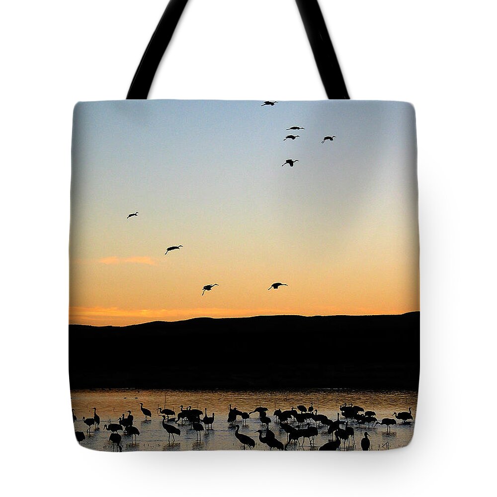 Birds Tote Bag featuring the photograph Sandhill Cranes #3 by Steven Ralser