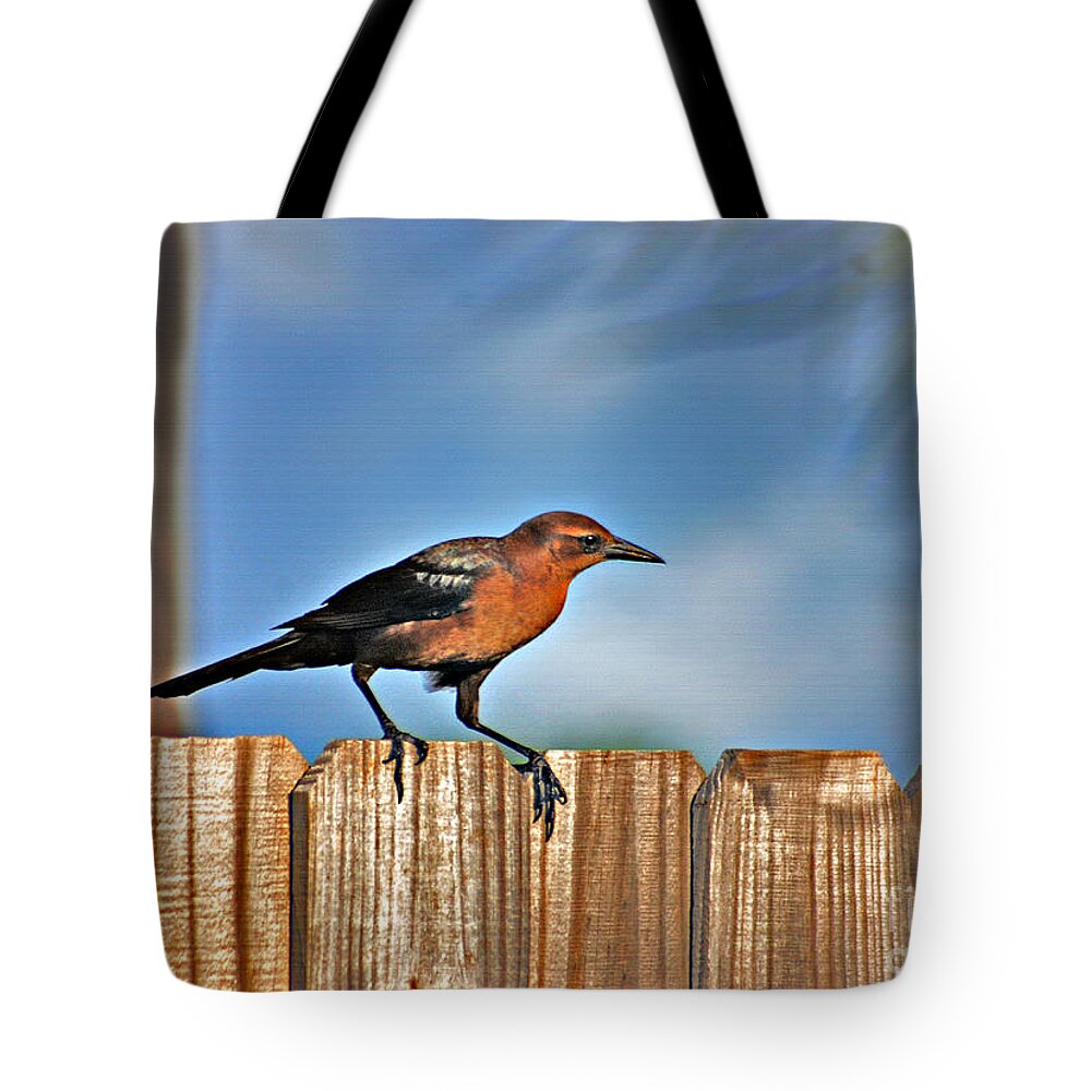 Grackle Tote Bag featuring the photograph 63- Grackle by Joseph Keane
