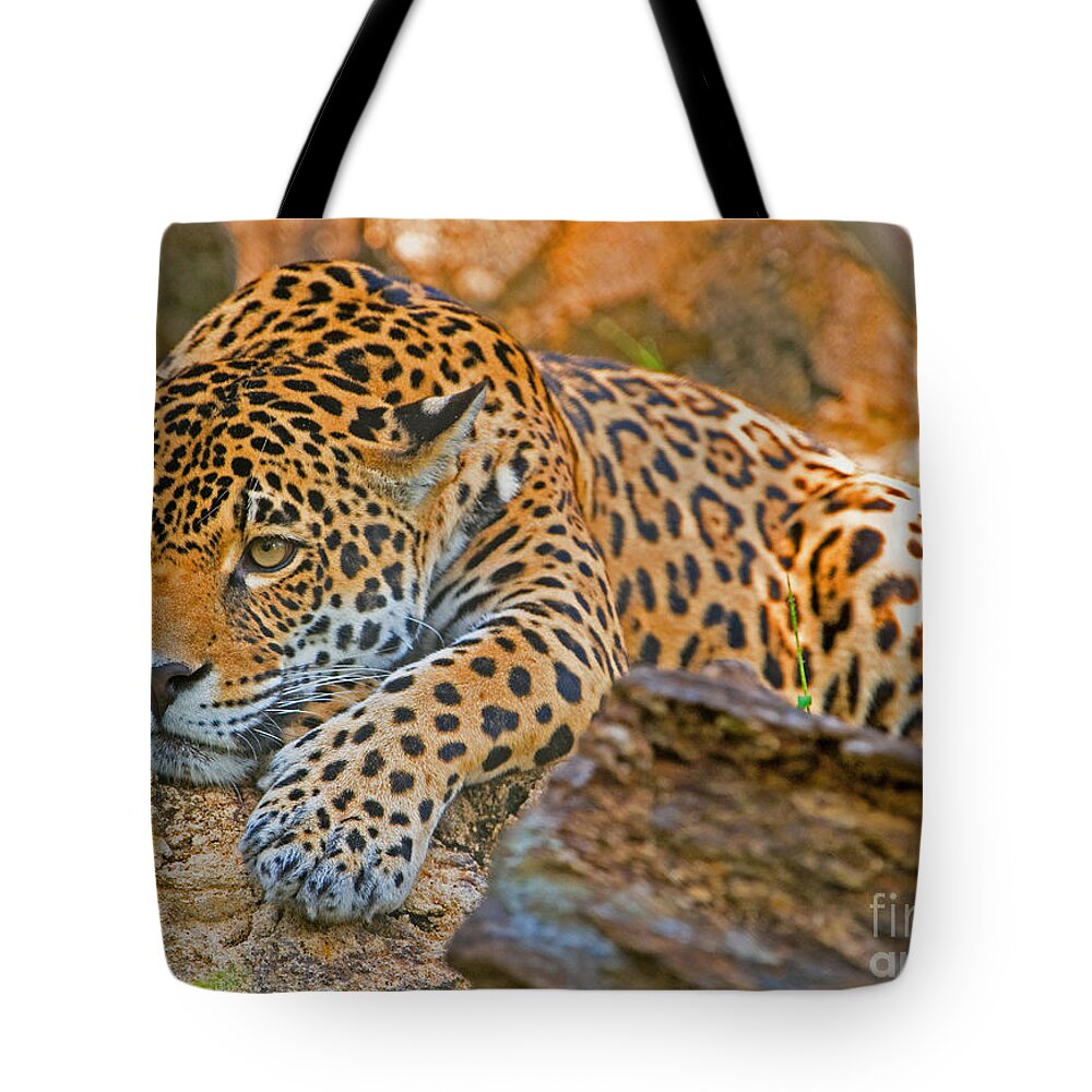 Animal Tote Bag featuring the photograph Jaguar #7 by Millard H. Sharp