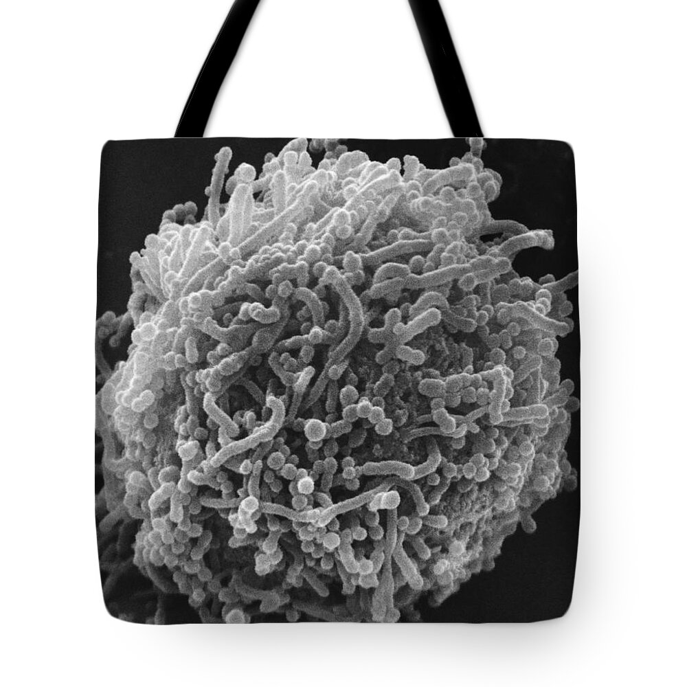 Bacterial Tote Bag featuring the photograph Mycoplasma Bacteria, Sem #7 by David M. Phillips