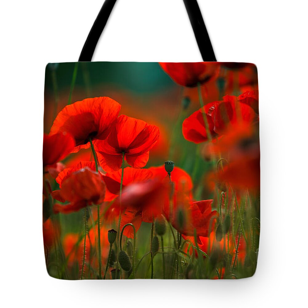 Poppy Tote Bag featuring the photograph Poppy Dream by Nailia Schwarz