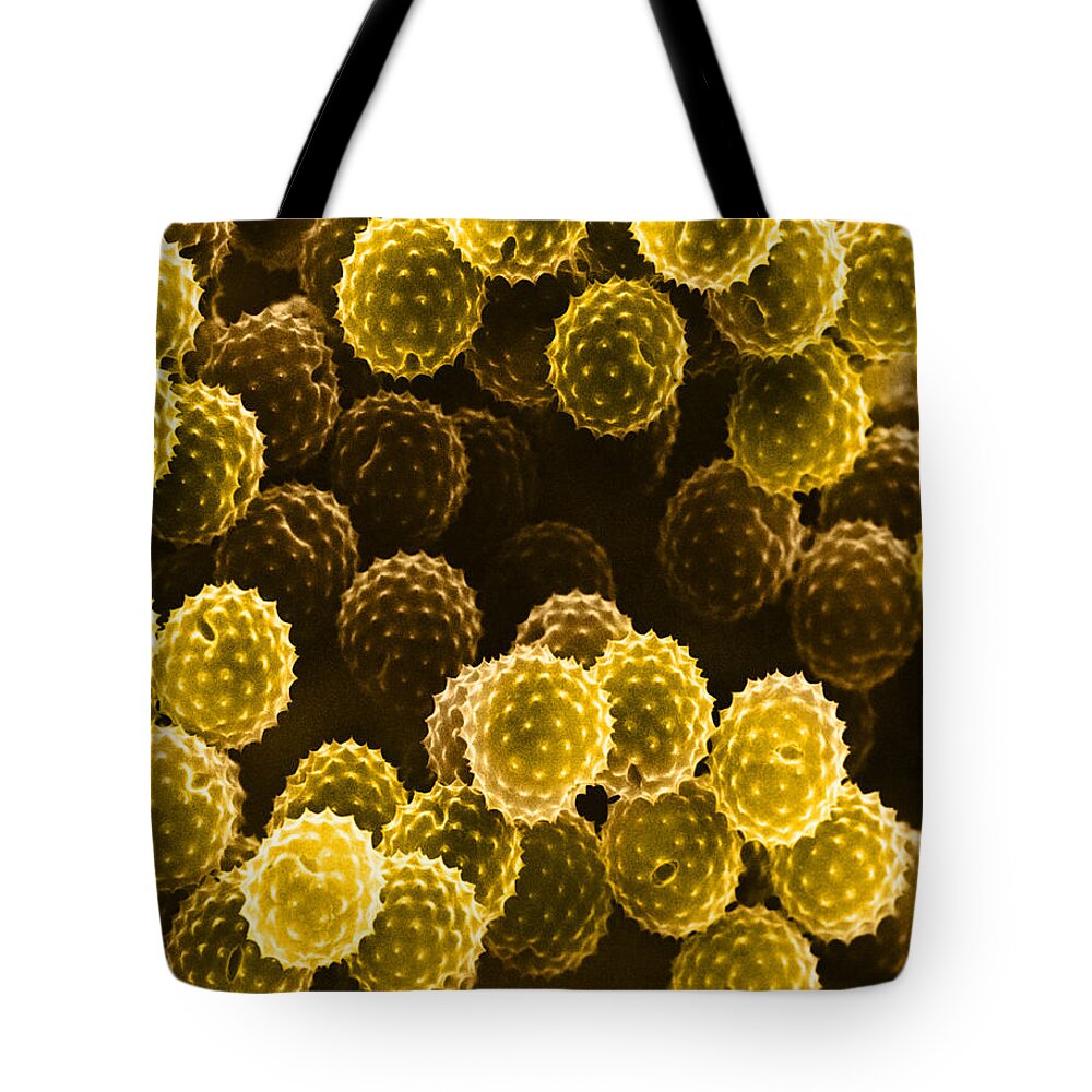 Allergen Tote Bag featuring the photograph Ragweed Pollen Sem by David M. Phillips / The Population Council