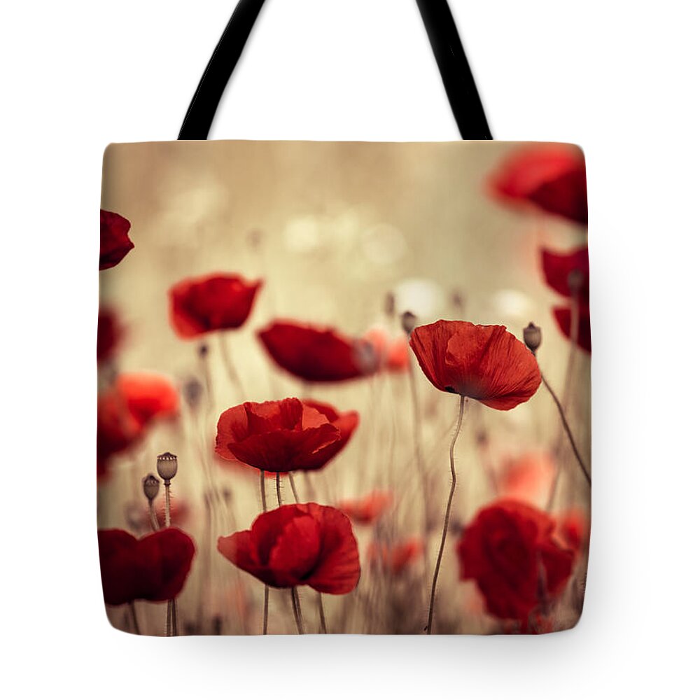Poppy Tote Bag featuring the photograph Summer Poppy by Nailia Schwarz