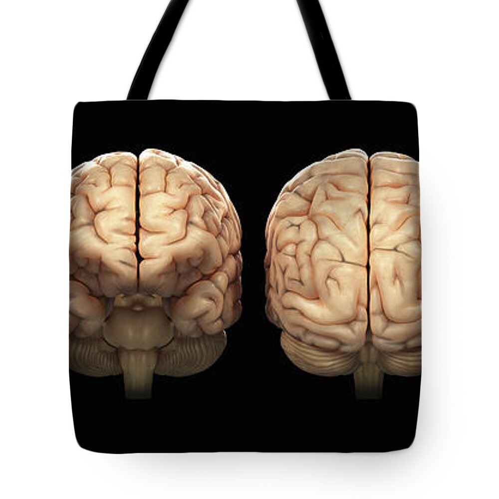 The Human Brain #7 Tote Bag The Human Brain #7 Tote Bag